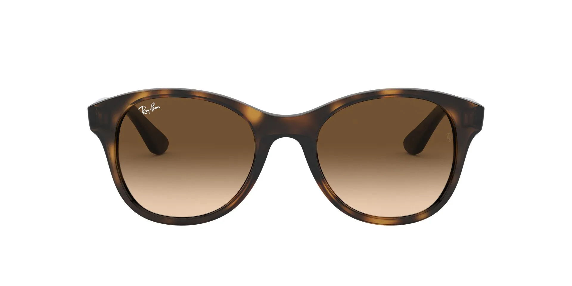 Rb4203 Ray Ban Sunglasses