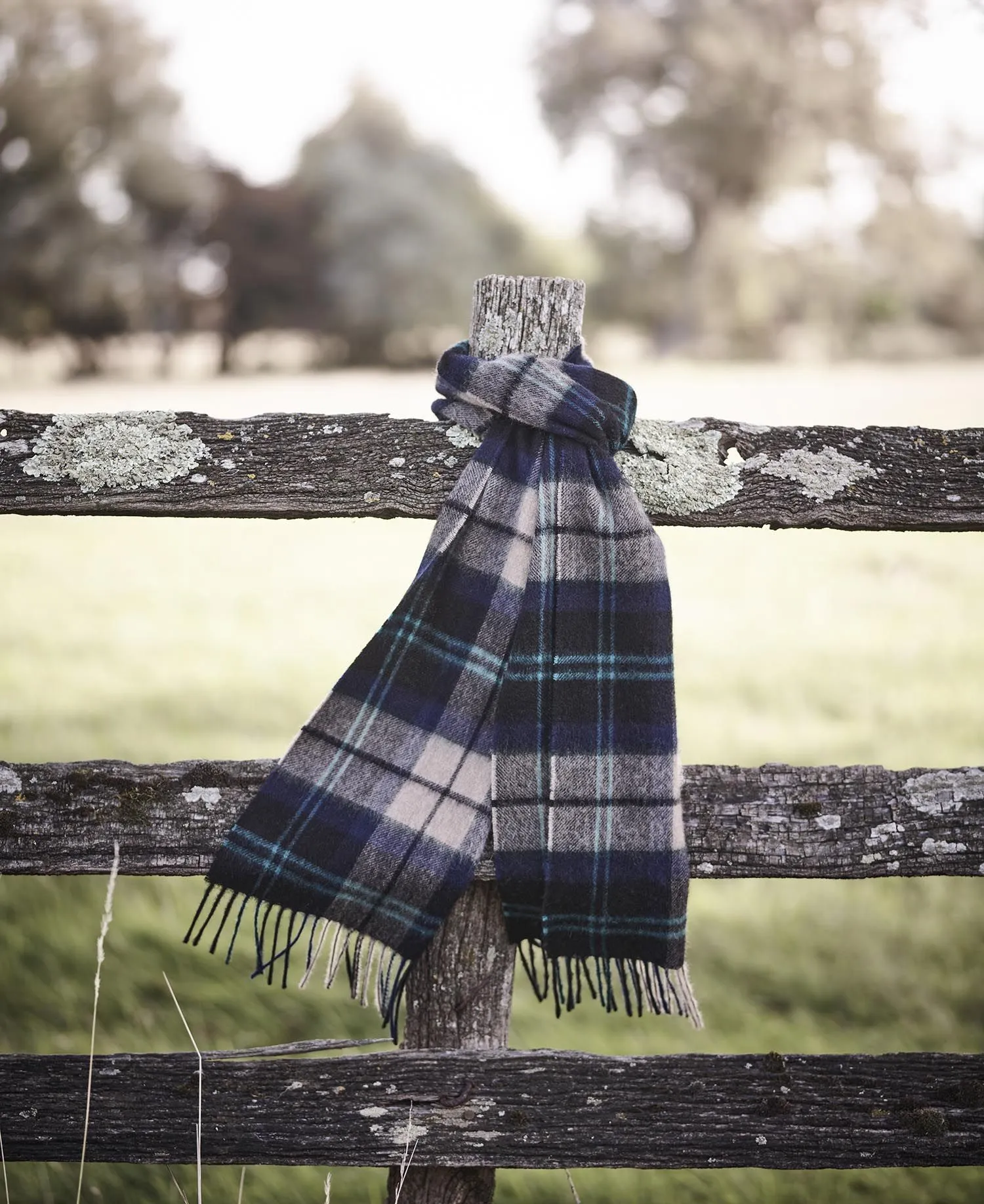  Tartan Scarf     